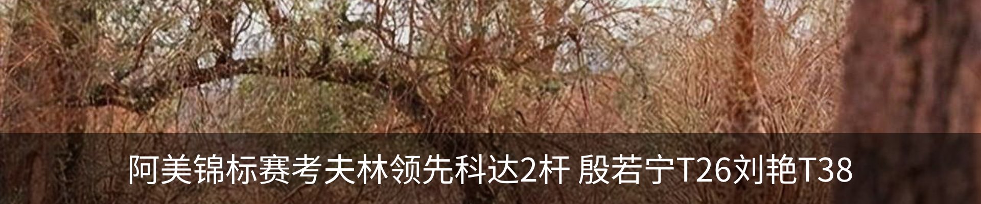 新闻中心